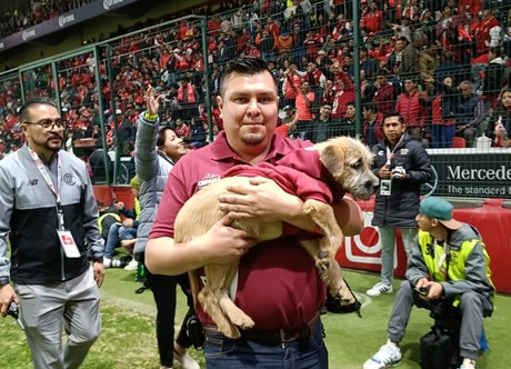 ¡Un partido muy perro! Toluca promueve adoptar mascotas en juego de Liga MX