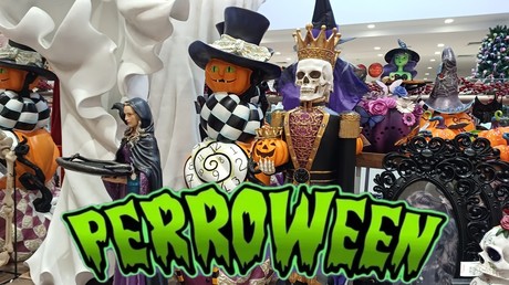 Halloween; Perroween un concurso de disfraces con causa