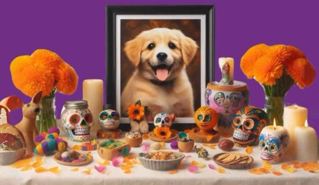 ¡Vuelven nuestros animalitos!: Cómo hacerles un altar en el Día de Muertos. Foto: Delfina Gómez