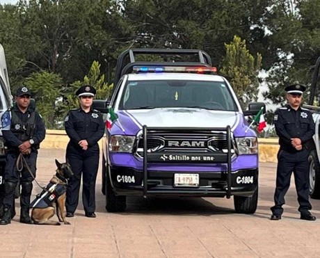 Violencia de género en Saltillo: cada vez más mujeres se atreven a denunciar