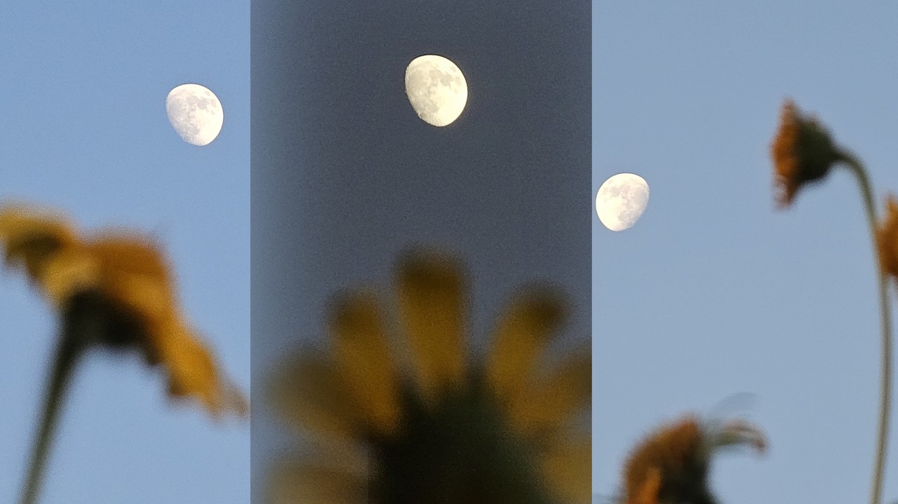 Este 2024 se ha convertido en un año especial para mirar al cielo por lo que ahora se presentará otro fenómeno que podremos admirar en Durango. Foto: Luis Lozano.