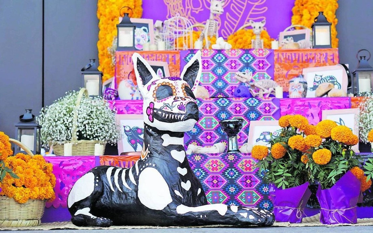 Altar de muertos para las queridas mascotas. Foto: Redes sociales