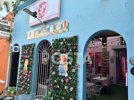 Kawaii Café Monterrey: el restaurante-boutique para los amantes de los Ternurine