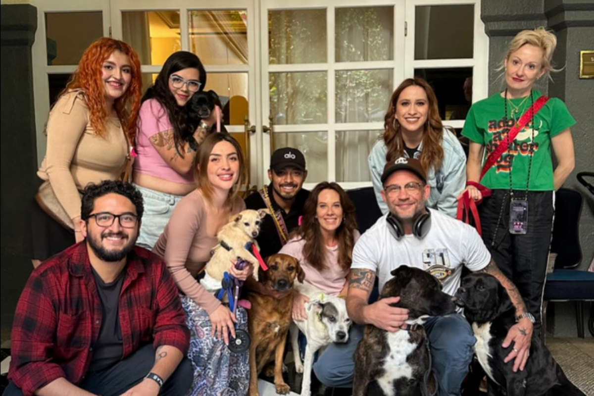 Adopta, la fundación que visitó Tom Hardy en su visita a CDMX. Foto: IG tomhardy