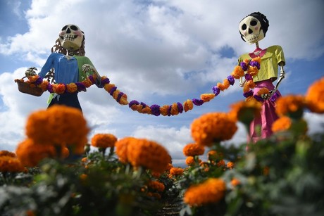 Ven a la Ruta del Mictlán, compra cempasúchil y toma fotos con catrinas