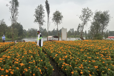 Día en Muertos en Xochimilco: Las actividades especiales que no te debes perder