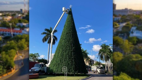 ¿Cuándo es el encendido del arbolito navideño en Paseo de Montejo?