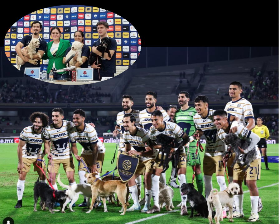 Adopción responsable de mascotas en CDMX, SSC y Pumas se unen para impulsarla