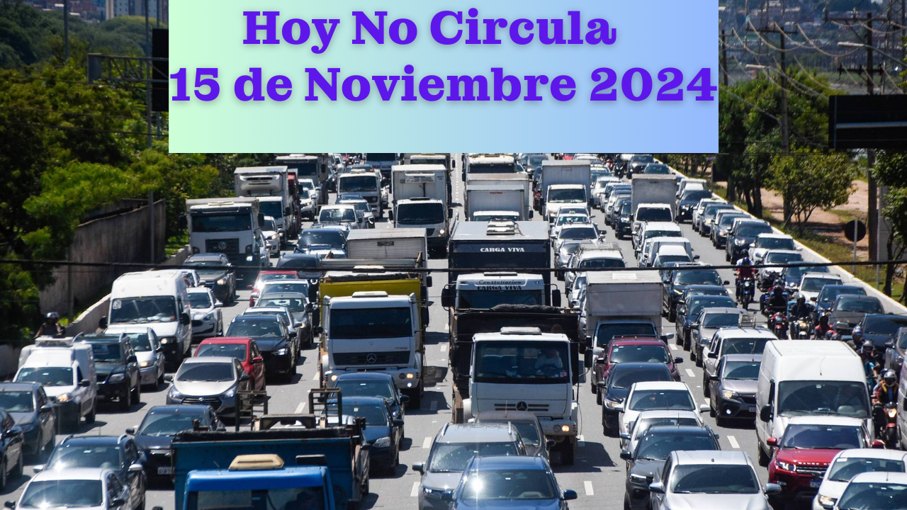 ¡Hoy no circula! Evita multas durante esta primera quincena de noviembre