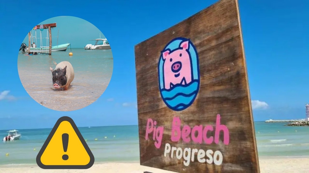 Durante la temporada de huracanes, las costas del estado han sufrido daños considerables Foto: Ilustrativa/Pig Beach