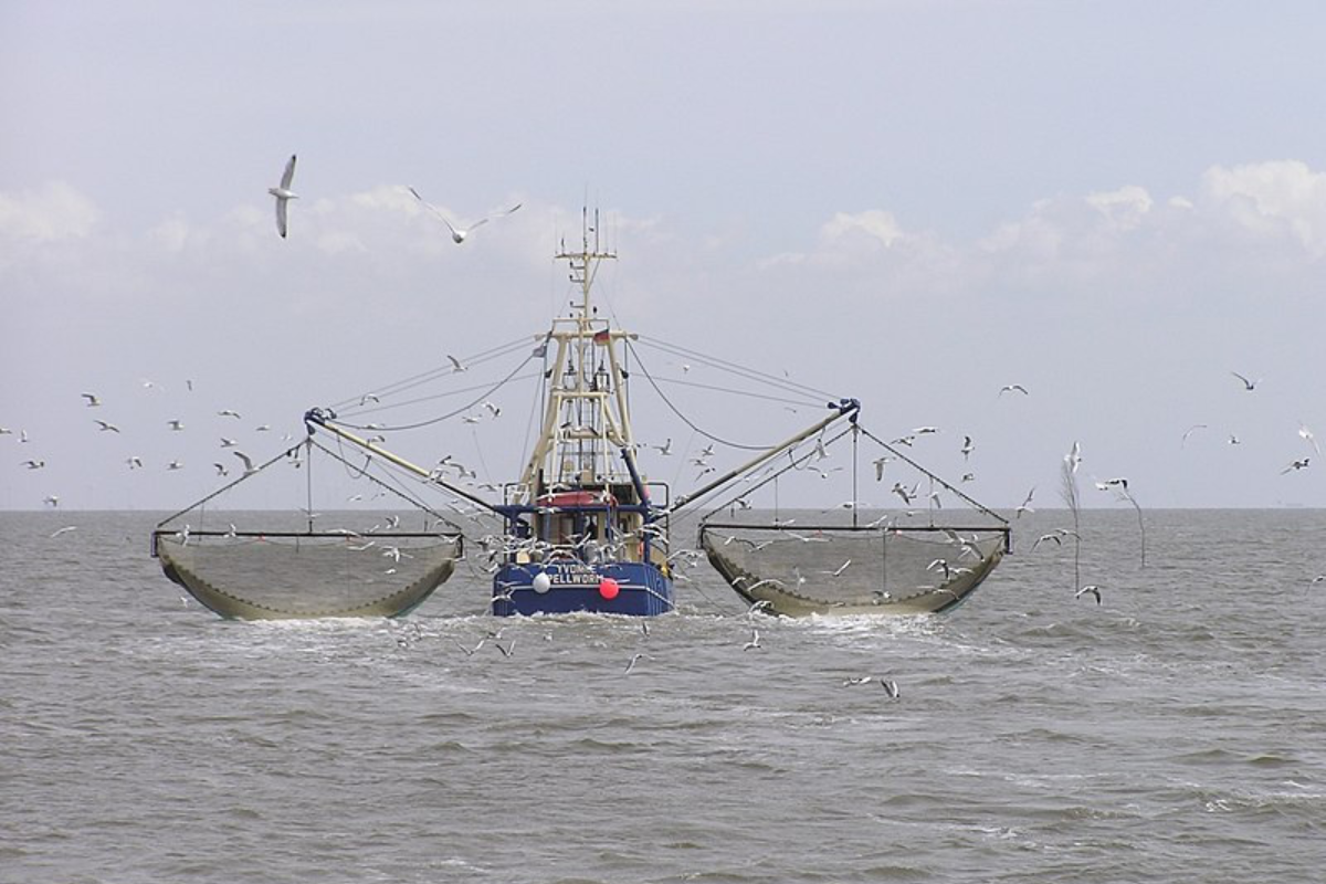 Barco pesquero. Foto ilustrativa