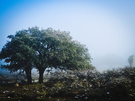 Clima: entra frente frío 11 este 27 de noviembre