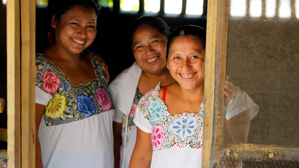 Desde 2021, la lengua maya es  Patrimonio Cultural Intangible de Yucatán Foto: Alcaldes de México