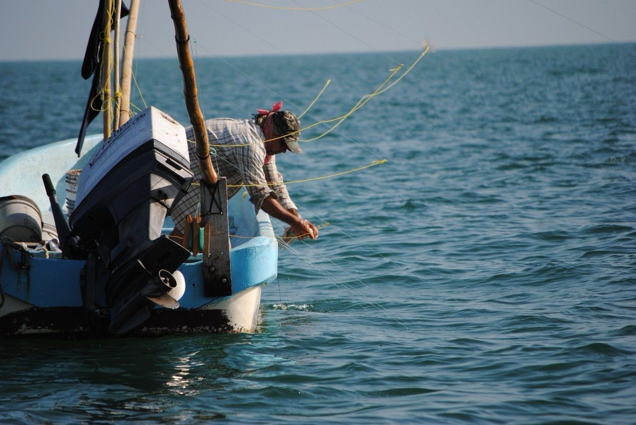 Los pescadores yucatecos han vivido una temporada asediados por los huracanes y frentes fríos Foto: Alejandra Vargas