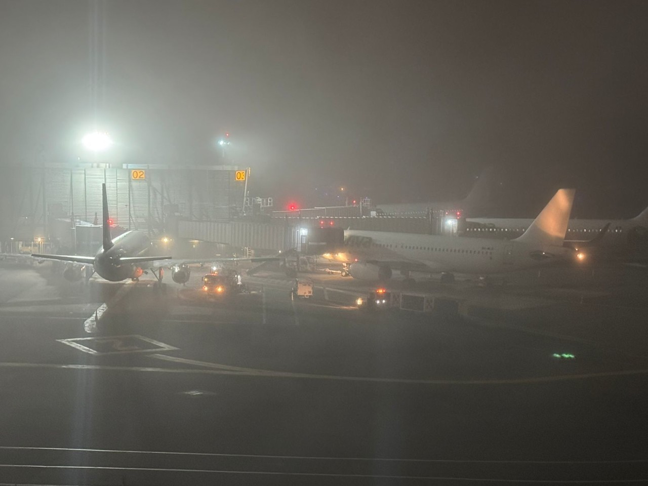 Aviones dentro del AIFA cubiertos de niebla.    Fotos: Ramón Ramírez