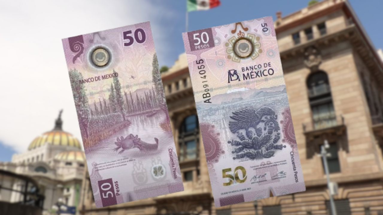 Este papel moneda ha ganado popularidad por su particular diseño Foto: Ilustrativa/Banco de México