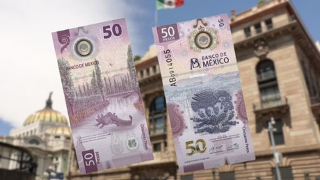 ¿Realmente vale 1 millón de pesos el billete del ajolote con la palabra 'Yevah'?