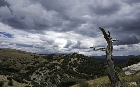 Clima en Tamaulipas: El frente frío 10 provoca estos cambios climáticos hoy 18 de noviembre