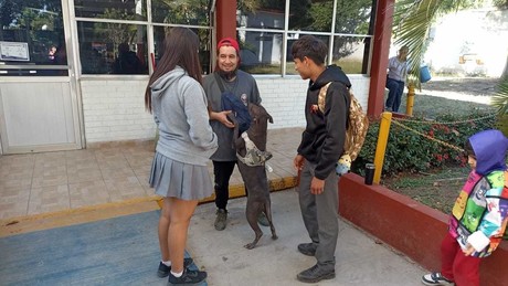 Centro de Acopio: en beneficio de perros y gatos de refugio animalista, ¿cómo puedes apoyar?