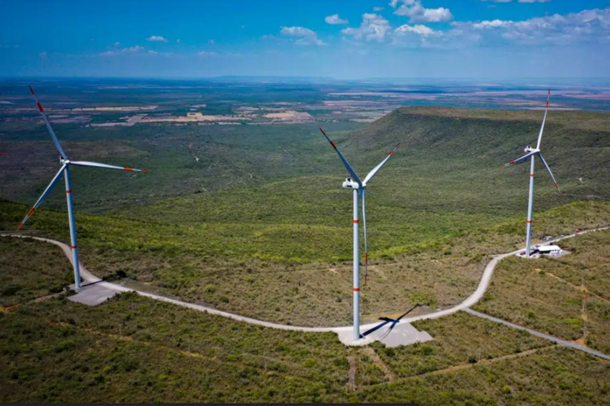 Parque eólico ubicado en Tamaulipas. Foto: Global Energy