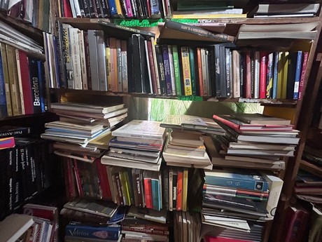 La Librería en Monterrey que es un refugio para lectores en plena era digital