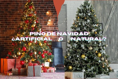 Pino de navidad, ¿Cuál es la mejor opción?