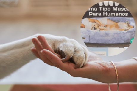 ¿Eres amante de los perros? Costco tiene un producto que te va a encantar