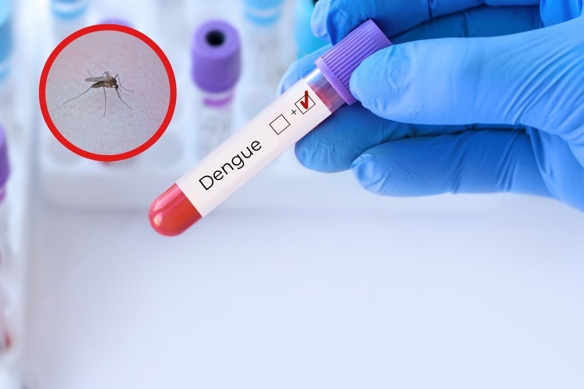 Prueba de dengue. Fotos de Canva.