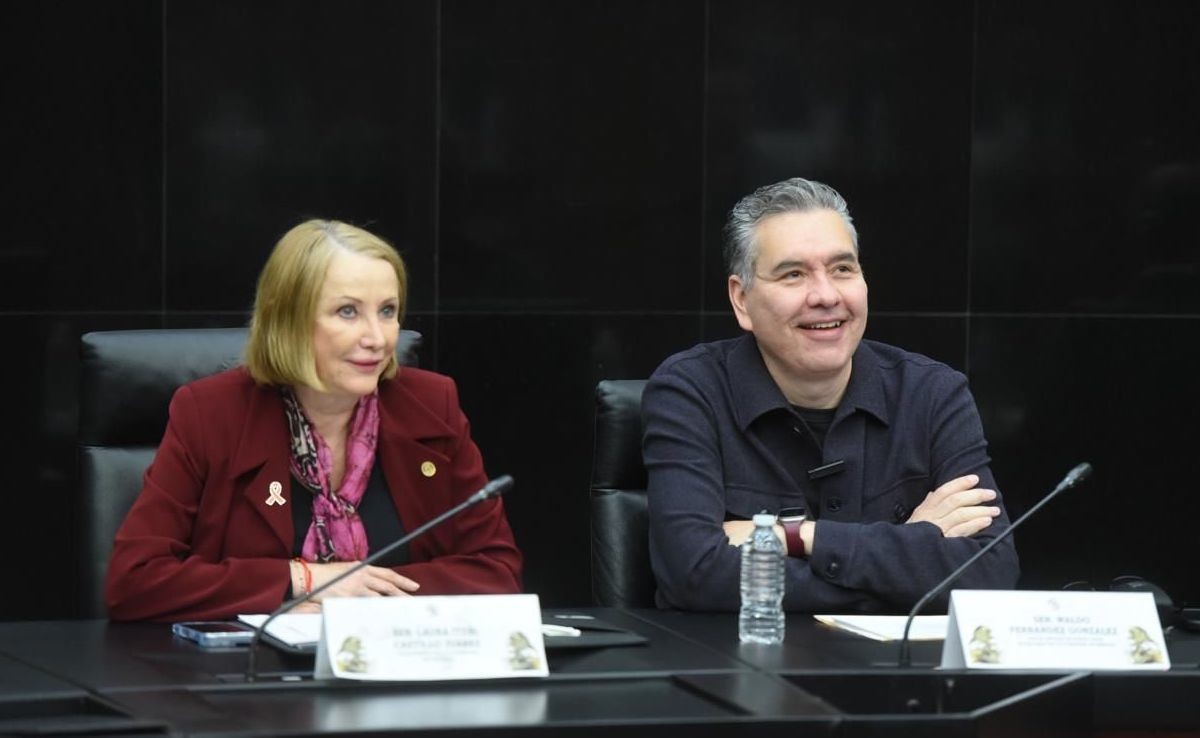 El Senador por Nuevo León, Waldo Fernández. Foto: Armando Galicia