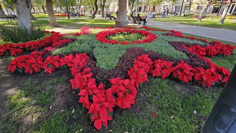 Nochebuenas navideñas: el espectáculo que podrás ver en plazas de Durango