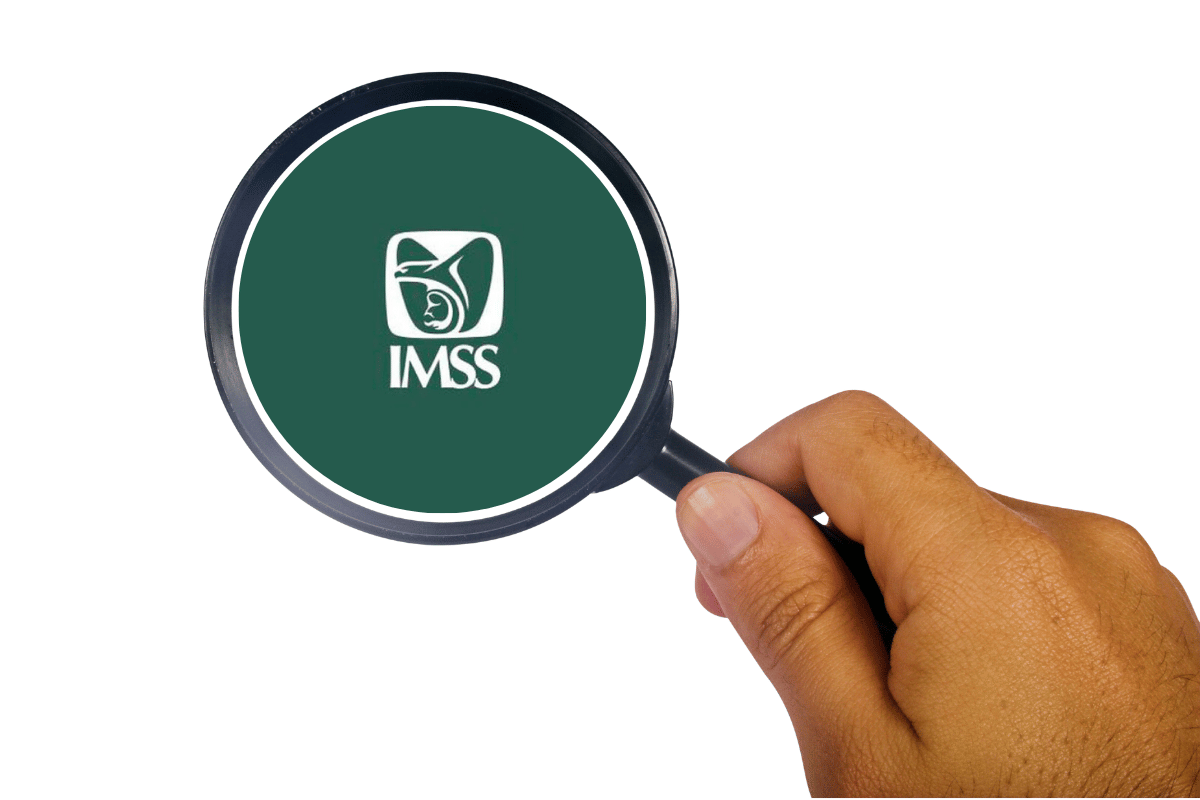 Para conocer cuántas semanas tienes registradas en el IMSS, puedes solicitar el Reporte de Semanas Cotizadas mediante los servicios digitales del Instituto. Foto: Canva.