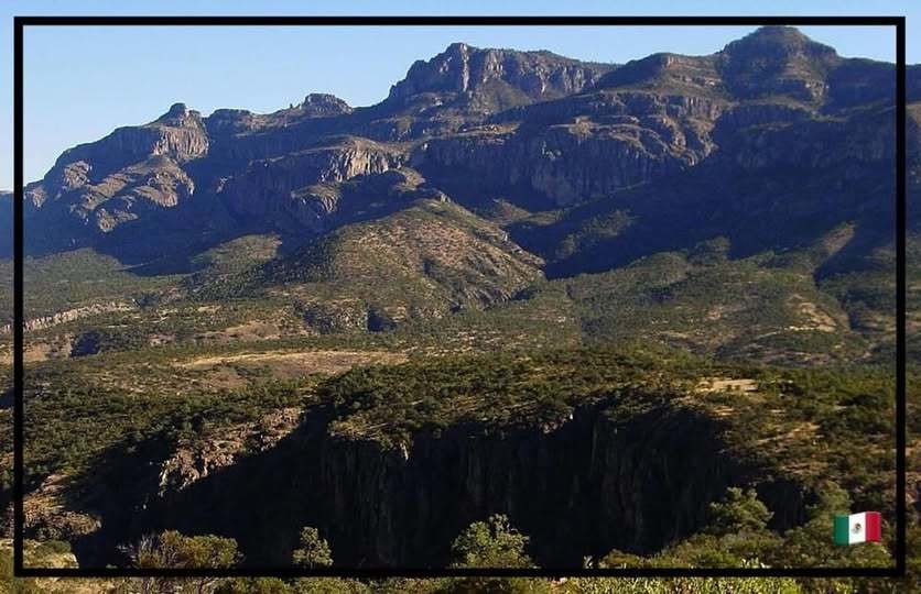 Se rendirá homenaje a comunidad de la Michilia y a científicos por Día Nacional de la Conservación. Foto: Facebook @Mēxihco.