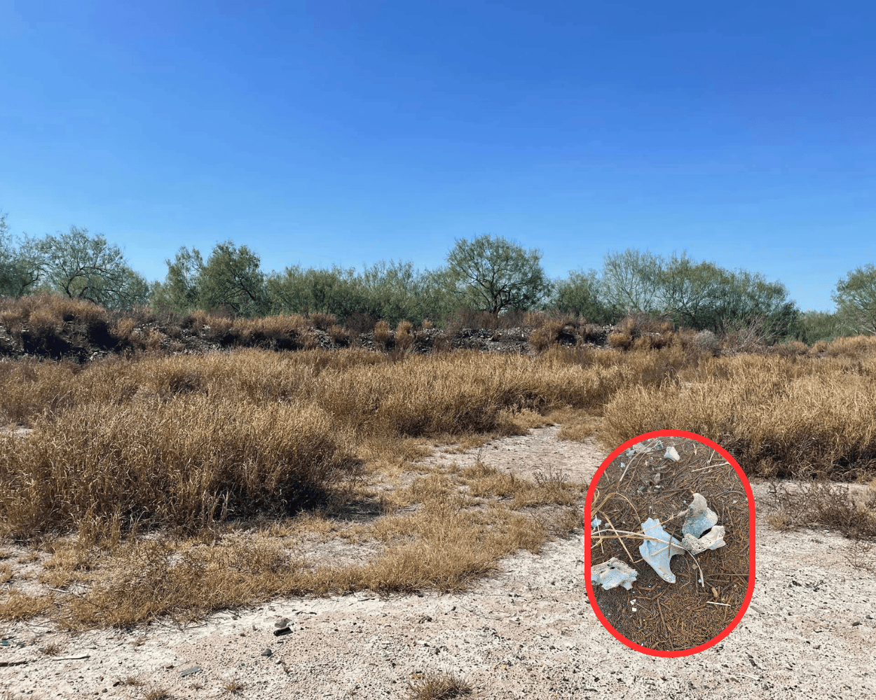 El colectivo 'Lazos Unidos por Encontrarlos' localizó restos humanos en una brecha cercana al fraccionamiento Ventura, Reynosa, Tamaulipas. Foto: Lazos Unidos por Encontrarlos