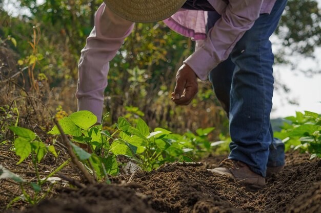 Se espera que este apoyo contribuya a disminuir las desigualdades en el sector del campo. Imagen: Freepik