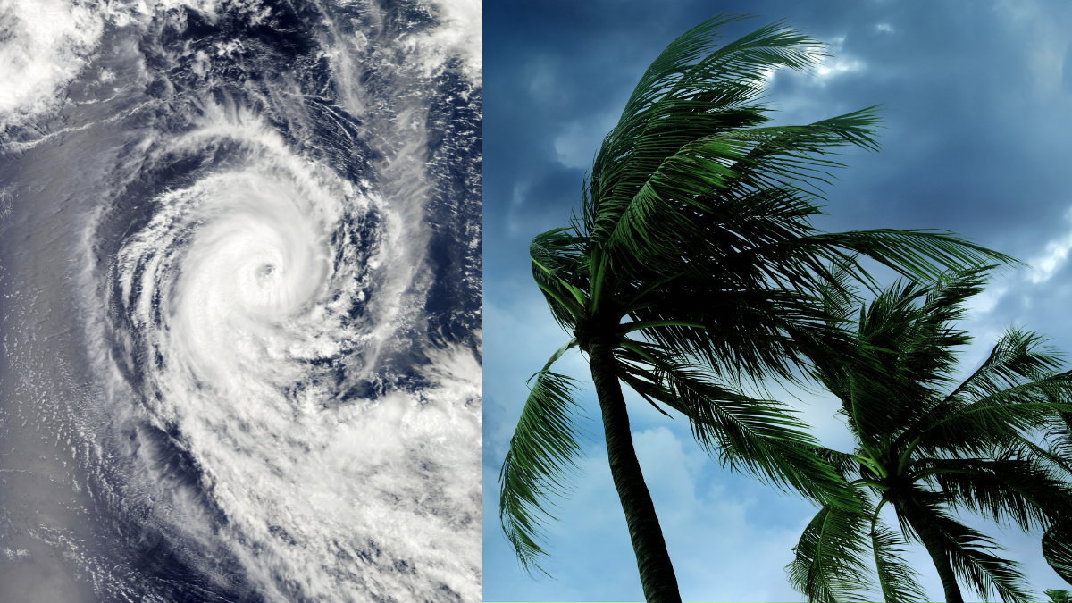 Estos fenómenos se clasifican de acuerdo a la potencia de sus vientos Foto: Especial