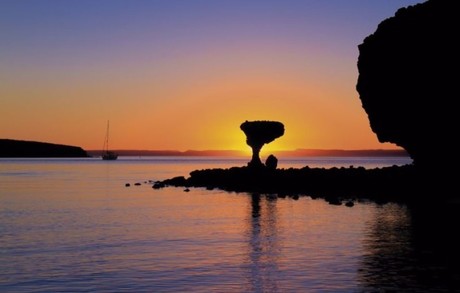 Conoce las 12 áreas naturales protegidas de Baja California Sur reconocidas por la UNESCO