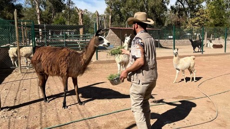 Durango tiene el mejor cuidador de animales de México