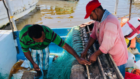 Día mundial de la pesca: Hombres de mar de Progreso afectados por mala temporada de pulpo