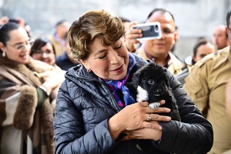 ¡Edomex es perrón! Va Delfina Gómez contra maltrato animal