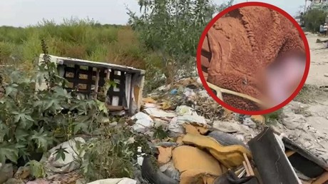 Hallan muerta a recién nacida; la tiran entre la basura en Chimalhuacán (VIDEO)