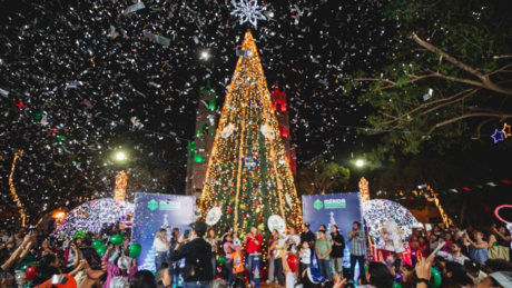 Navidad 2024: Cecilia Patrón encendió el árbol en el parque de San Cristóbal