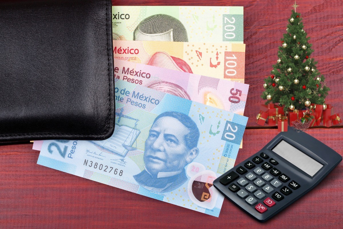 De fondo cartera con billetes, calculadora y árbol de Navidad. Foto: Canva