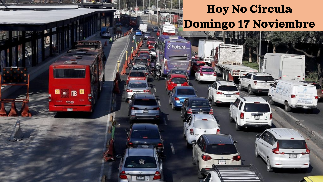 ¿Domingo sin restricciones viales? Esto índica el programa Hoy no circula