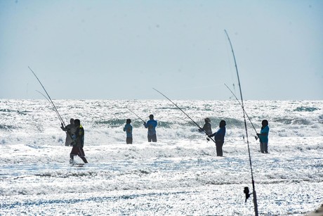 Torneo Internacional de Pesca en Tamaulipas rompe record de cañas ¿Cuántos pescadores participaron?