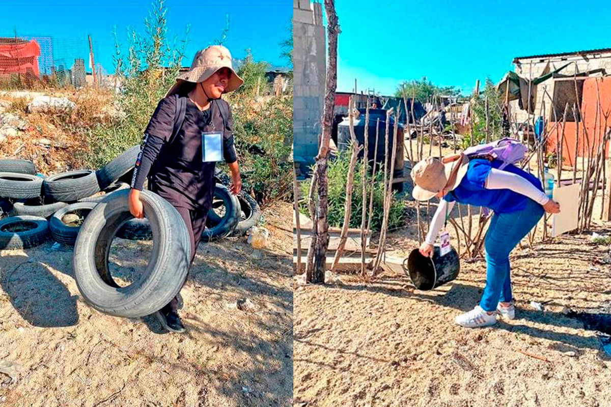 Los Cabos toma medidas para prevenir el dengue. Fotos: Cortesía.