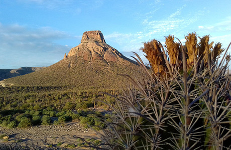 De Los Cabos a Mulegé, un recorrido fascinante por los municipios de BCS