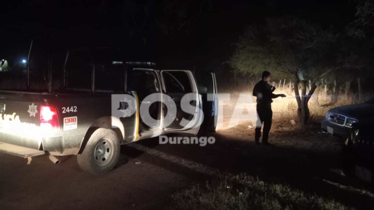 Un niño que se estaba ahogando fue visto por un par de perros, mascotas de la familia, y la madre del infante logra salvarlo. Foto: Cortesía.