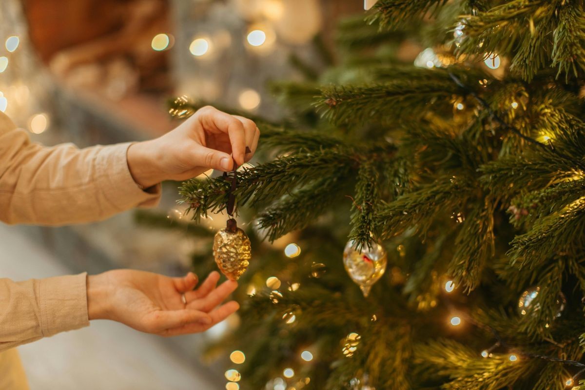 Pino navideño. Foto de Pexels.