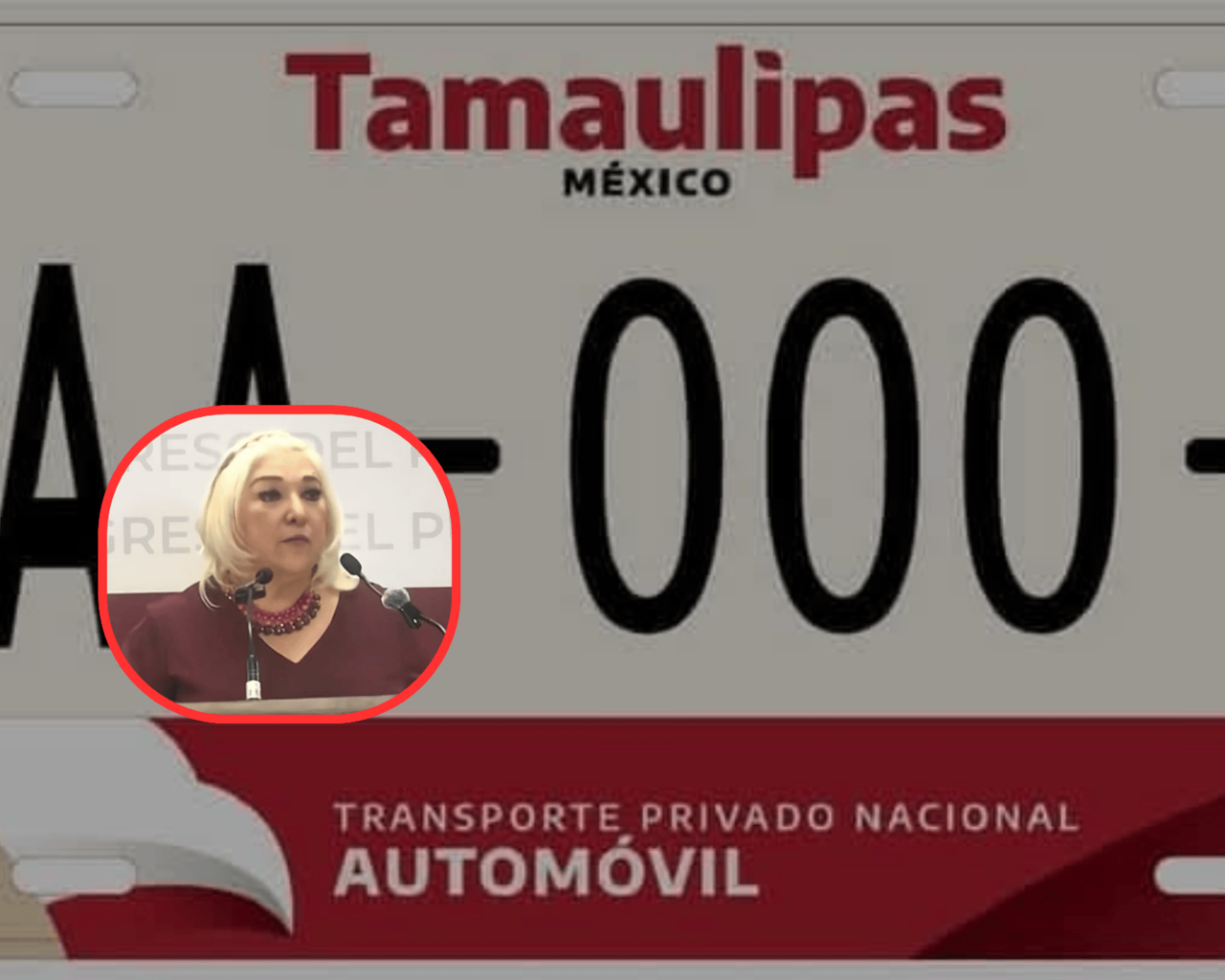 El canje de placas vehiculares para el año 2025 tendrá un costo de 2,500 pesos, según lo anunciado por Adriana Lozano Rodríguez, secretaria de Finanzas de Tamaulipas. Foto: CANVA