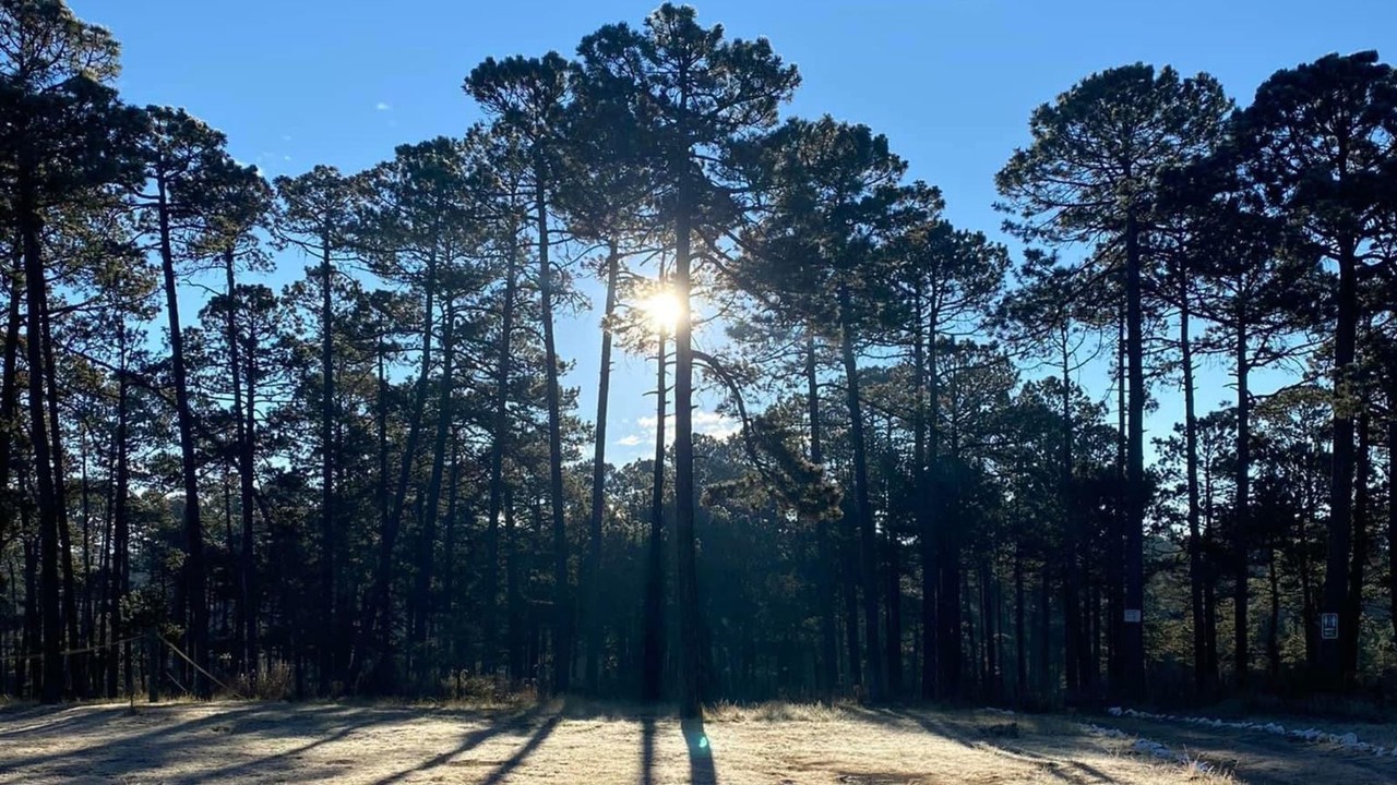 Tarde soleada desde el Parque Nacional El Tecuán. Foto: Facebook Cabañas y Parque Ecológico 'El Tecuán'.